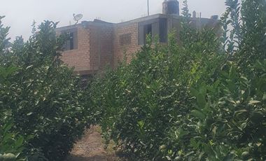VENDO TERRENO AGRICOLA A 13 minutos del centro de Huaral y 35m del MegaPuerto de Chancay