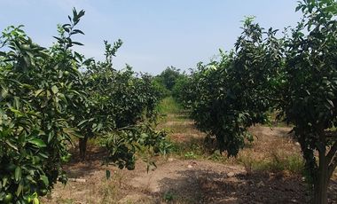 VENDO TERRENO AGRICOLA A 13 minutos del centro de Huaral y 35m del MegaPuerto de Chancay