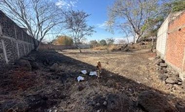 VENTA DE TERRENO EN EMILIANO ZAPATA MORELOS