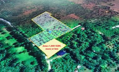Looking for a serene and peaceful environment to build your dream home or investment property? Look no further than this prime piece of farmland located in the picturesque municipality of Alfonso, Cavite.