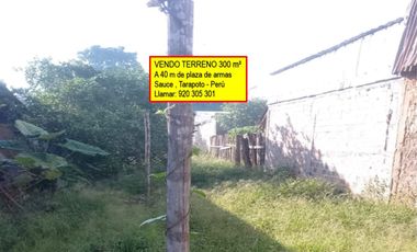 VENDO TERRENO EN LAGUNA AZUL, SAUCE, TARAPOTO, SAN MARTIN 300 m²