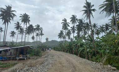Affordable 2 Storey In-House Financing Townhouses in Toledo City, Cebu