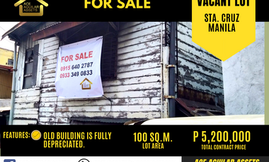 Vacant Lot in Manila for Sale
