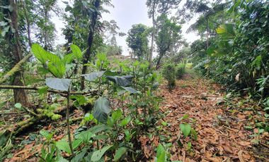 LINDO TERRENO 1.619 m2 EN PEDRO VICENTE MALDONADO DENTRO DE URBANIZACIÓN PRIVADA
