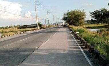 🏡 13-hectare of Prime Mixed-Use Land Investment Opportunity in Binmaley, Pangasinan