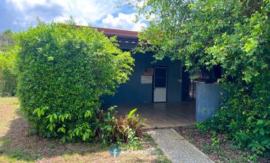 Urgent Sale! 17-Room Rental Business on 3 Rai Land, Fully Tenanted
