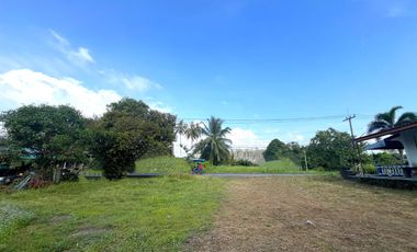Exclusive 20-Rai Land for Sale Perfect Investment Near Thai Mueang Beach in Phang Nga