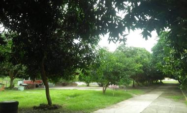 5.2 hectares Commercial Lot Property with Improvements for sale in Davao