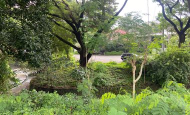 Ayala Alabang Village  | Residential Lot For Sale - #5783