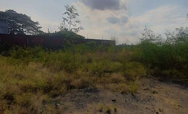 En venta espectacular y estratégico terreno en pleno casco comercial de Ciudad Celeste, al lado de la Piazza Ciudad Celeste