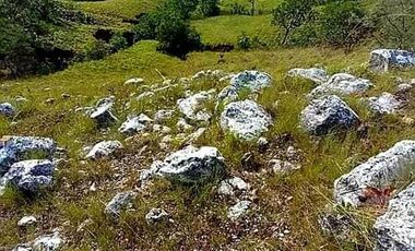 1,309 Hectares of Prime Agricultural & Mineral-Rich Land in Brgy. Villacorta, Mabini, Pangasinan, Philippines