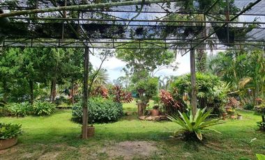 Beautiful house for sale Nearly Laem Son Beach, size 700 sq w. Modern classic style house, 80 sq m., near Land Bridge Chumphon project 13 km., price 9