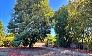 ARRIENDO AMPLIA BODEGA  INDUSTRIAL EN PARCELA CAMINO A PINTO