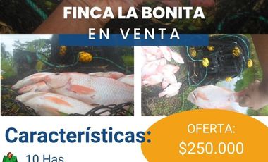 FINCA LA BONITA DE VENTA EN PALORA-MORONA SANTIAGO