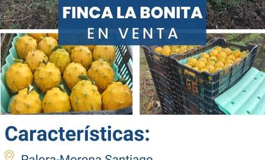 FINCA LA BONITA DE VENTA EN PALORA-MORONA SANTIAGO