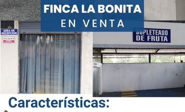 FINCA LA BONITA DE VENTA EN PALORA-MORONA SANTIAGO