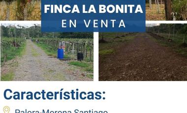 FINCA LA BONITA DE VENTA EN PALORA-MORONA SANTIAGO