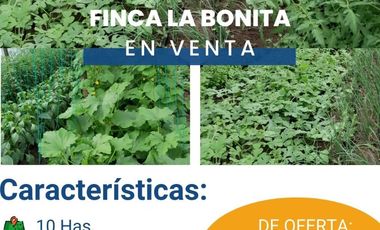 FINCA LA BONITA DE VENTA EN PALORA-MORONA SANTIAGO