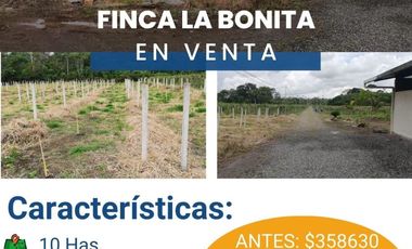 FINCA LA BONITA DE VENTA EN PALORA-MORONA SANTIAGO