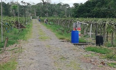 FINCA LA BONITA DE VENTA EN PALORA-MORONA SANTIAGO