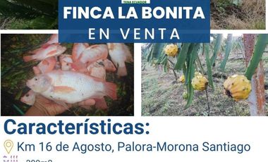 FINCA LA BONITA DE VENTA EN PALORA-MORONA SANTIAGO