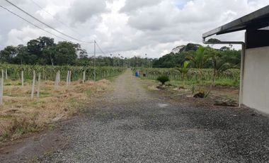 FINCA LA BONITA DE VENTA EN PALORA-MORONA SANTIAGO