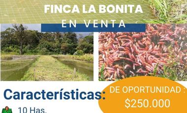 FINCA LA BONITA DE VENTA EN PALORA-MORONA SANTIAGO
