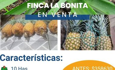 FINCA LA BONITA DE VENTA EN PALORA-MORONA SANTIAGO