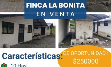 FINCA LA BONITA DE VENTA EN PALORA-MORONA SANTIAGO