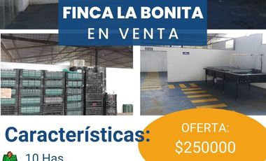 FINCA LA BONITA DE VENTA EN PALORA-MORONA SANTIAGO