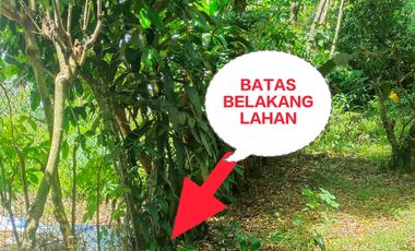 Dijual Kavling Perum Cilayang Lebak Banten Murah Lokasi Nyaman Sangat Strategis