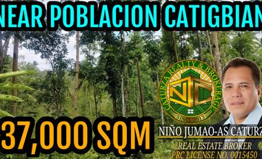 Lot For Sale Catigbian Bohol 37,000 sqm For 50/sqm