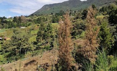 VENDO FINCA DE TRABAJO EN SAN CRISTÓBAL MEDELLÍN ANTIOQUIA COLOMBIA.
