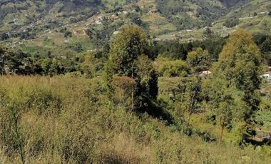 VENDO FINCA DE TRABAJO EN SAN CRISTÓBAL MEDELLÍN ANTIOQUIA COLOMBIA.