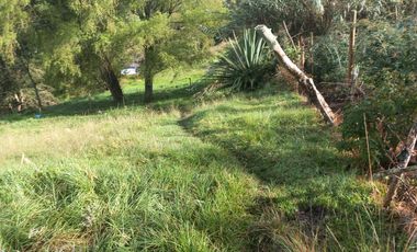 VENDO FINCA DE TRABAJO EN SAN CRISTÓBAL MEDELLÍN ANTIOQUIA COLOMBIA.