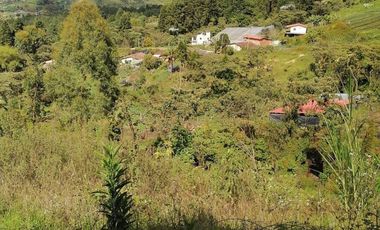 VENDO FINCA DE TRABAJO EN SAN CRISTÓBAL MEDELLÍN ANTIOQUIA COLOMBIA.
