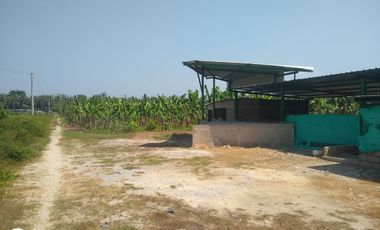 FINCA DE BANANO 4 HAS EN PRODUCCION EN LA ZONA BANANERA.