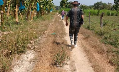 FINCA DE BANANO 4 HAS EN PRODUCCION EN LA ZONA BANANERA.