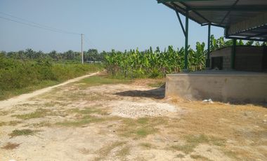 FINCA DE BANANO 4 HAS EN PRODUCCION EN LA ZONA BANANERA.