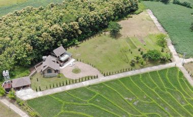 Architect Designed Beautiful luxury home in Pai