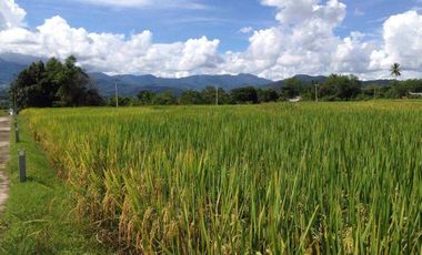 Architect Designed Beautiful luxury home in Pai
