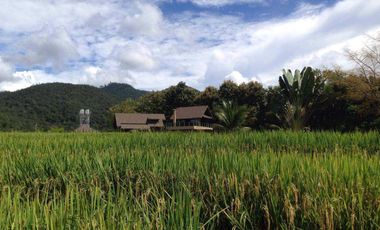 Architect Designed Beautiful luxury home in Pai