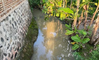 Dijual Rumah Asri Tengah Sawah Kedawung Sragen
