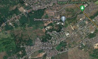 Prime/Commercial Lot for Sale in Balanga, Bataan