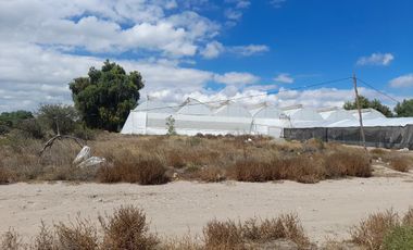 TERRENO EN VENTA EN ACTOPAN