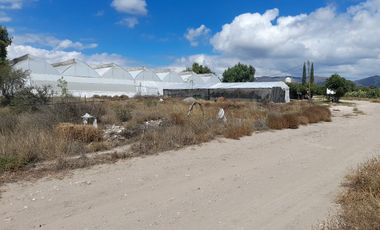 TERRENO EN VENTA EN ACTOPAN