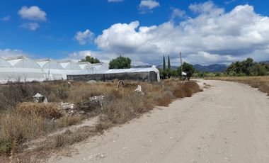 TERRENO EN VENTA EN ACTOPAN