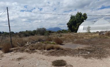 TERRENO EN VENTA EN ACTOPAN
