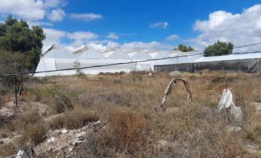 TERRENO EN VENTA EN ACTOPAN