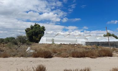 TERRENO EN VENTA EN ACTOPAN